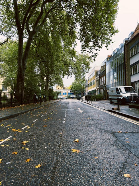 The image shows a quiet urban street scene on a wet day with a slightly overcast sky. The road is paved with dark asphalt and has scattered fallen yellow and brown leaves on its surface, indicating an autumn setting. To the left, there is a row of tall, leafy trees with dense green foliage, their branches extending over the street, creating a canopy effect. On the right side, modern multi-storey buildings with large glass windows and varied facades, including brickwork and metal cladding, stand alongside the sidewalk. Parked along the curb is a white commercial van, with black bollards lined along the pavement to prevent vehicle intrusion. The street appears to be part of a residential or mixed-use area, with a few pedestrians visible in the distance. The clean, well-maintained environment suggests it might be an area served by private waste collection services, such as those provided by Rubbish Removal Fulham, which frequently handle rubbish clearance for flats and shops in urban settings, supporting alternative waste management options outside local authority collections.
